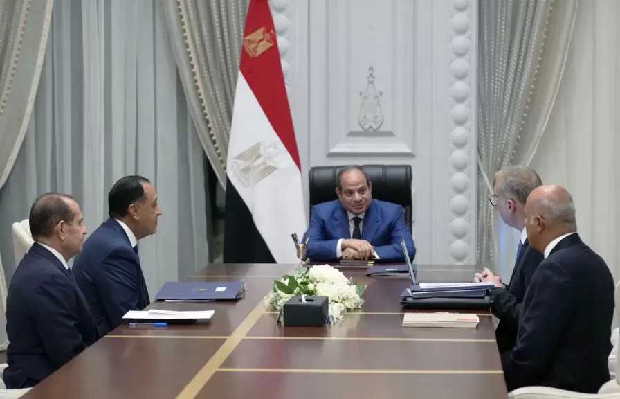 الرئيس السيسي يوجه بالعمل على تحقيق نقلة نوعية لتعظيم القيمة المُضافة من الثروات المعدنية