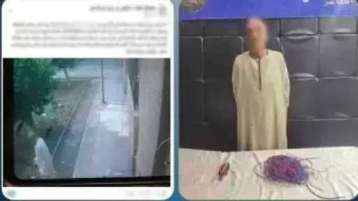ضبط لص يسرق أسلاك أعمدة الإنارة في القاهرة