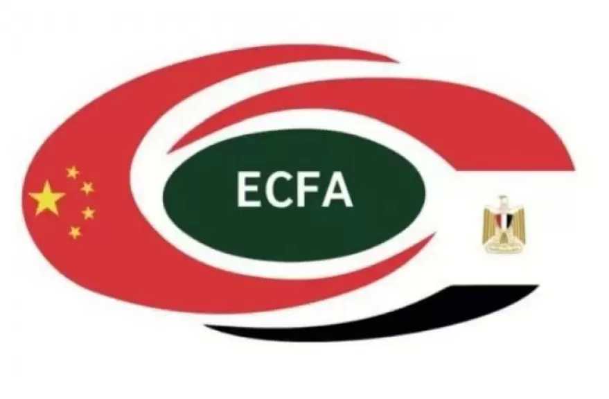 جمعية الصداقة المصرية الصينية تعرب عن بالغ ترحيبها بضيف مصر الرئيس الصيني شي جين بينغ