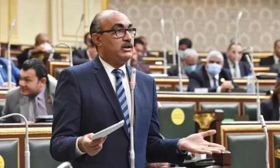 النائب إيهاب منصور: أزمة سيستم المعاشات كارثة كبيرة.. في ناس مش لاقية تاكل وبطَّلت تجيب دواء