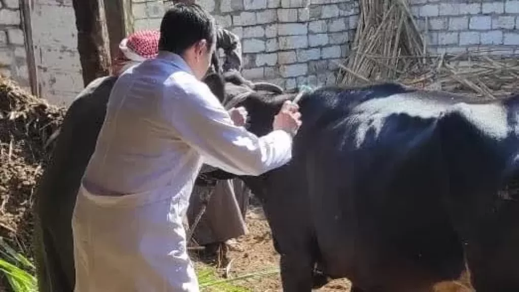 خط أحمر