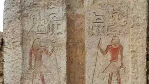 أخبار