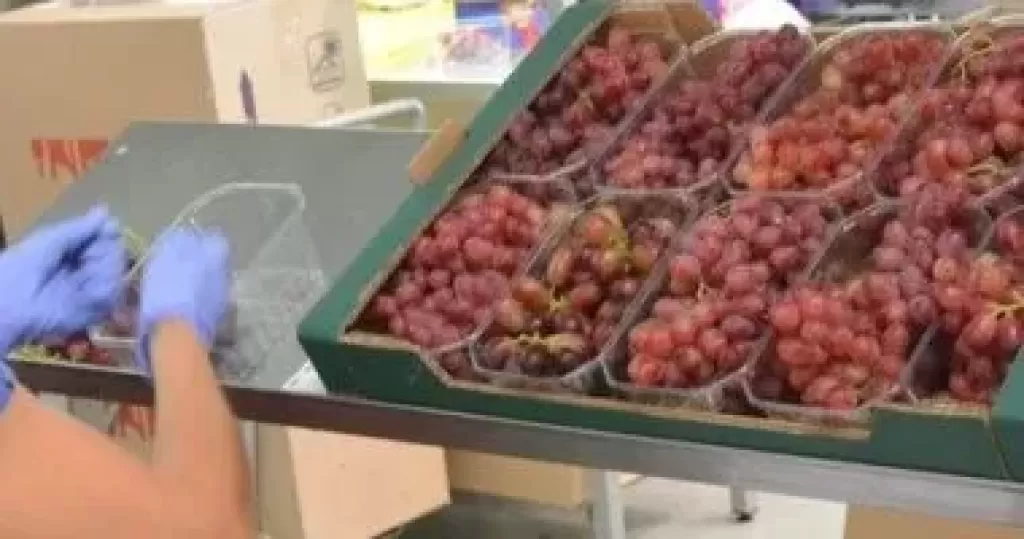 خط أحمر
