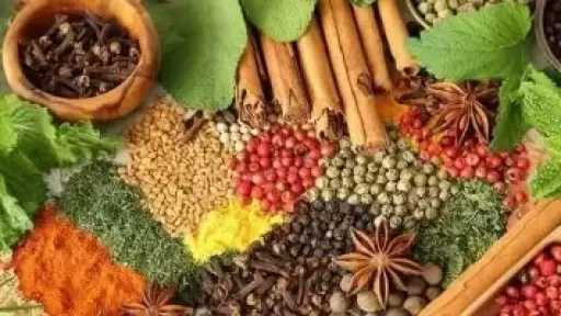 استعد للعام الدراسى.. أعشاب تساعد على تقوية الذاكرة والتركيز
