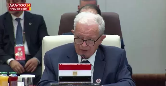 نيابة عن الرئيس السيسي.. نائب رئيس الوزراء يلقي كلمة مصر أمام قمة منظمة شنغهاي للتعاون في بيشكيك