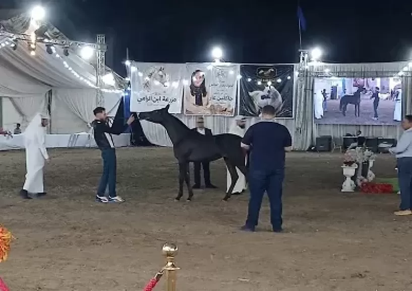 خط أحمر