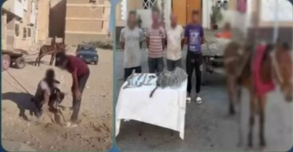 خط أحمر