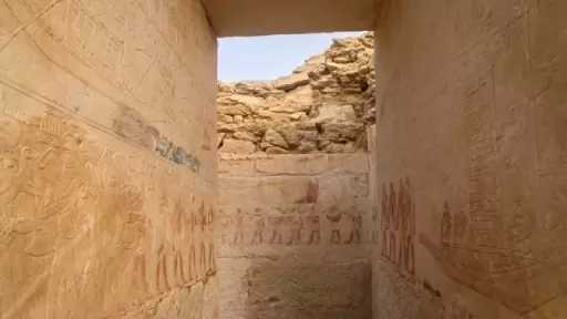 أخبار
