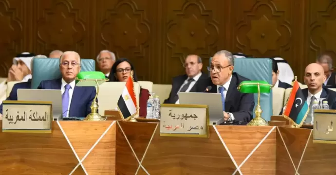 وزير الخارجية يؤكد أهمية دفع التكامل الأمني والدفاعي العربي وتنسيق القدرات المتاحة