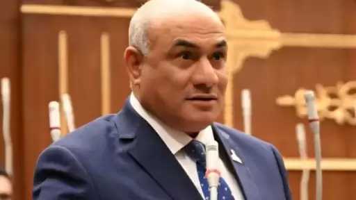 النائب شعبان رأفت يطالب بتشجير القاهرة الكبرى بالكامل ووقف قطع الأشجار فورًا