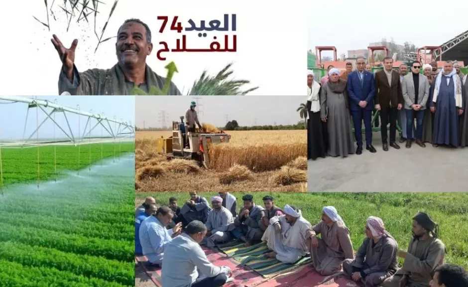 في عيد الفلاح الـ 74.. الزراعة تعلن حزمة تمكين ودعم مباشر لخط الدفاع الأول عن الأمن الغذائي