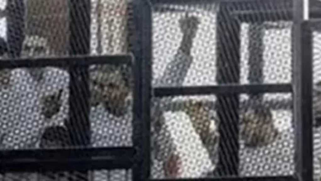 إعادة محاكمة 7 متهمين بخلية البساتين الإرهابية.. الأحد