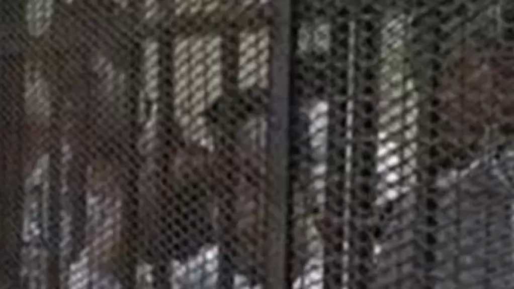 استكمال مرافعة النيابة في محاكمة 25 متهما بـ«خلية الظاهر الإرهابية».. الأحد