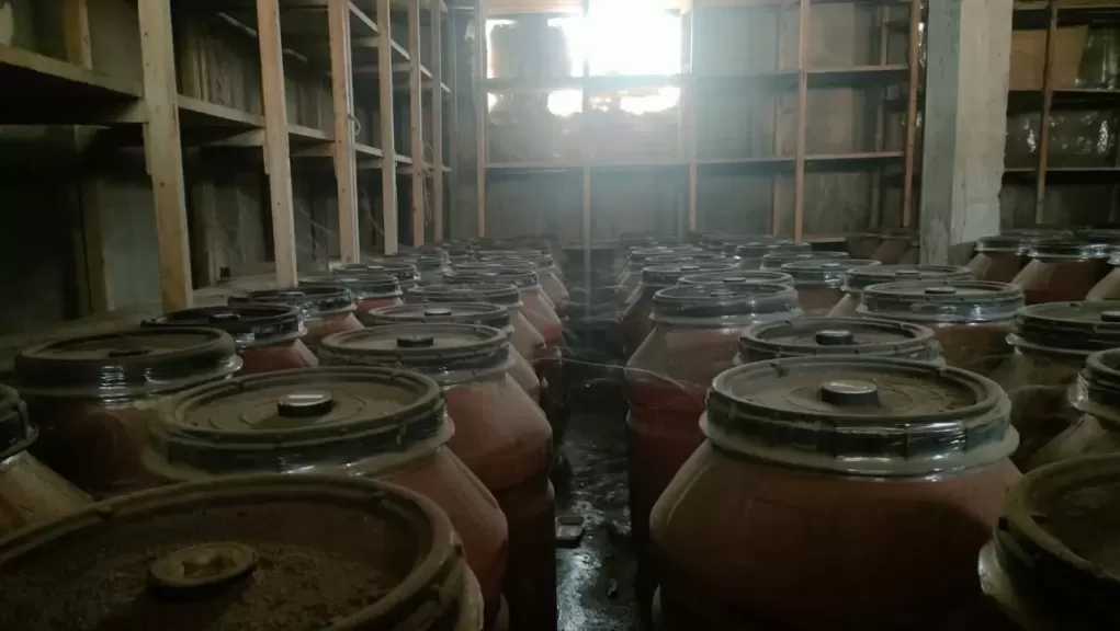 ضبط 22 طن زيتون مخلل غير صالح للاستهلاك الآدمي بالغربية