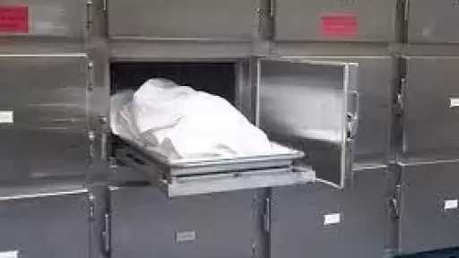 مصرع ربة منزل على يد نجلها في إمبابة بالجيزة