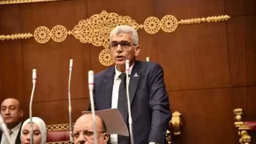 النائب محمد سلامة: إعلان العلمين فضح زيف الادعاءات الإثيوبية بشأن النيل
