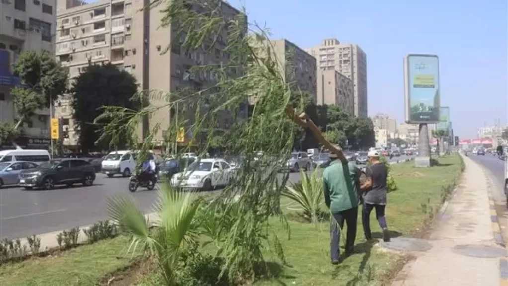 متحدث الحكومة: لدينا خطة للتشجير وزيادة المساحات الخضراء.. ورفع السلع المخفضة إلى 30 بنهاية الشهر