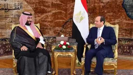 أخبار