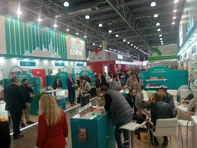 87 % من صادرات مصر الغذائية لروسيا تأتي من 5 منتجات