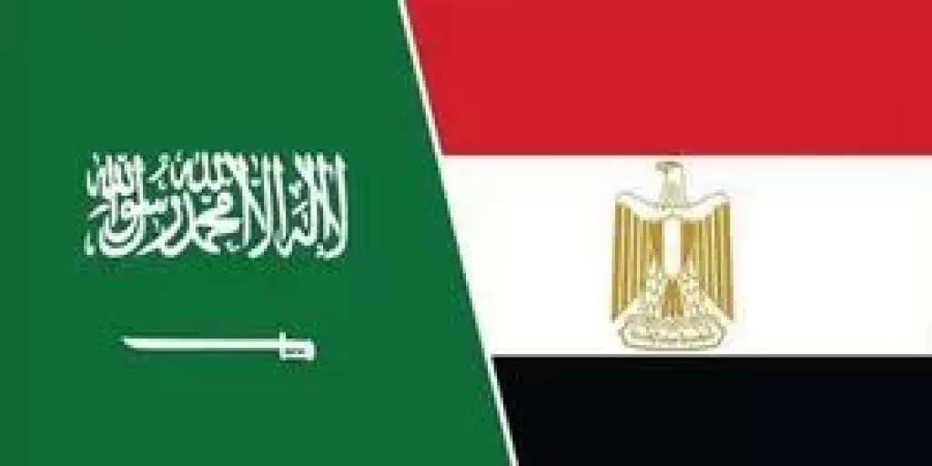 «التمثيل التجاري»: السعودية أصبحت منفذًا رئيسيًا للصادرات المصرية إلى جميع دول الخليج