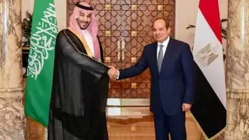 النائب محمد شعيب: لقاء الرئيس السيسي وولي العهد السعودي يبعث برسائل حاسمة