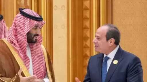 النائب باسم بهاء: قمة السيسي وولي عهد السعودية تضع أسسا لمرحلة جديدة من الشراكة بين البلدين