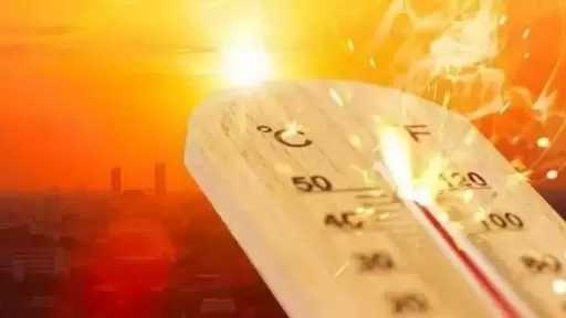 أخبار