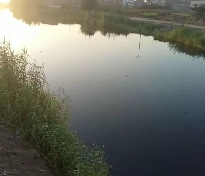 خط أحمر