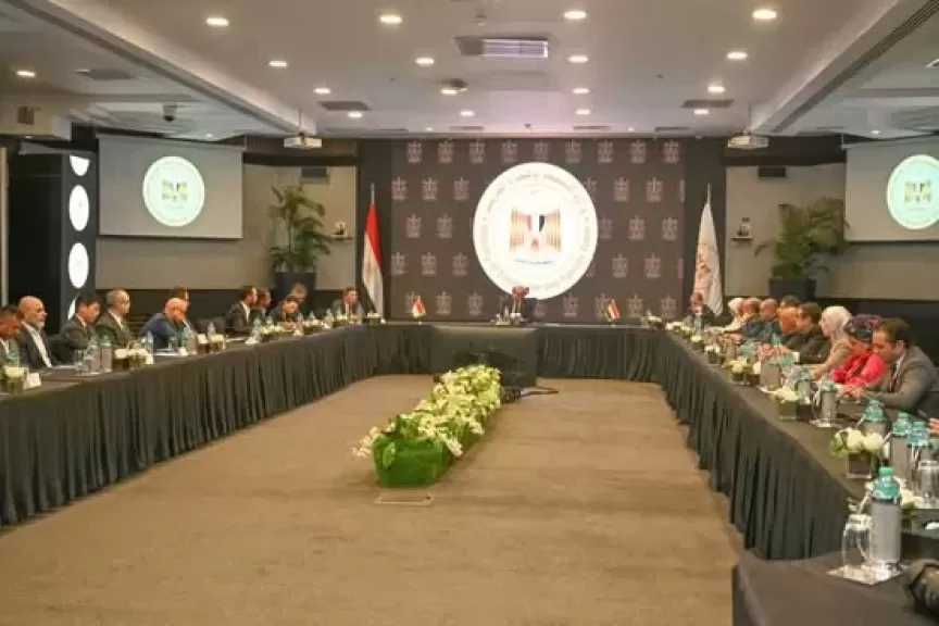 وزير الاستثمار يبحث مع الشركات السنغافورية خطط التوسع وضخ استثمارات إضافية