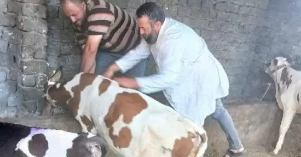 خط أحمر