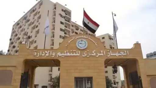 «التنظيم والإدارة»: التكنولوجيا والذكاء الاصطناعي يفتحان آفاقًا جديدة لتطوير إدارة المال العام
