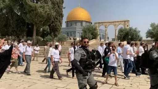 «مجلس الإفتاء الفلسطيني» يدين تدنيس رحاب المسجد الأقصى المبارك