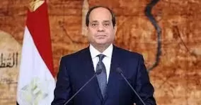 الرئيس السيسي: الثمن الذي دفعته مصر في عام 2011 كان كبيرا جدا