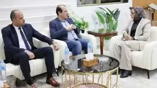 محافظ الوادي الجديد تبحث مع نائب وزير الصحة دعم احتياجات القطاع الصحي