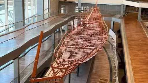 أخبار