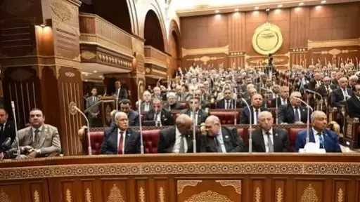 عضو بالشيوخ: منتدى مصر 2026 فرصة تاريخية وقوة دافعة تفتح آفاقا واسعة للمكاشفة