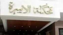 زوج يلاحق زوجته بدعاوى ضرب وسب وإسقاط حضانة