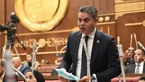 نائب بـ”خارجية الشيوخ” يطالب هولندا بكشف ملابسات توقيف أحمد ناصر وضمان حقوقه القانونية