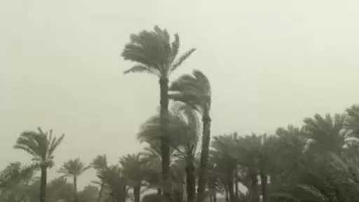 الأرصاد تحذر: أمطار ورياح مثيرة للأتربة الأربعاء.. وانخفاض الحرارة الخميس