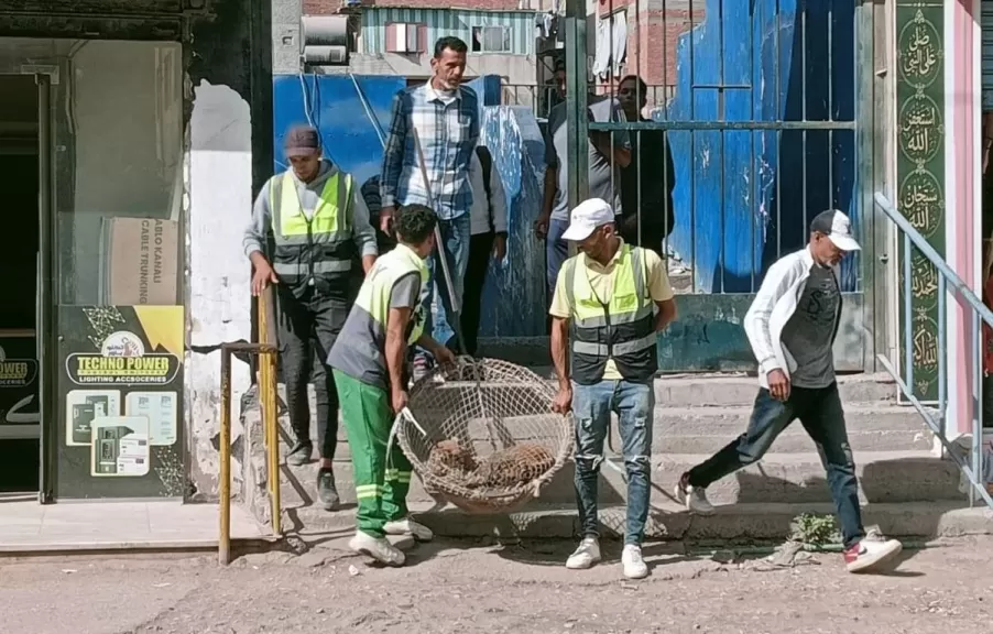 خط أحمر