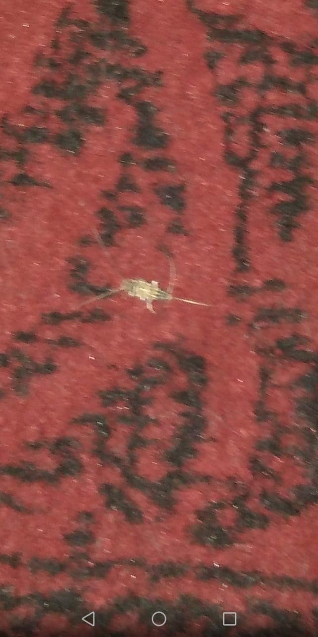 30e62fddc14c05988b44e7c02788e187.jpg
