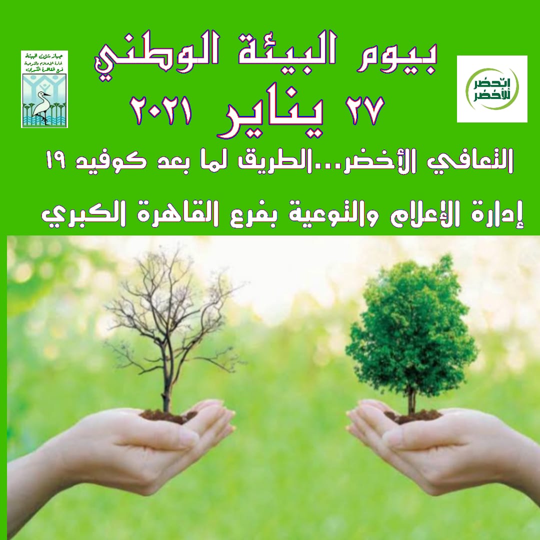 edab7ba7e203cd7576d1200465194ea8.jpg