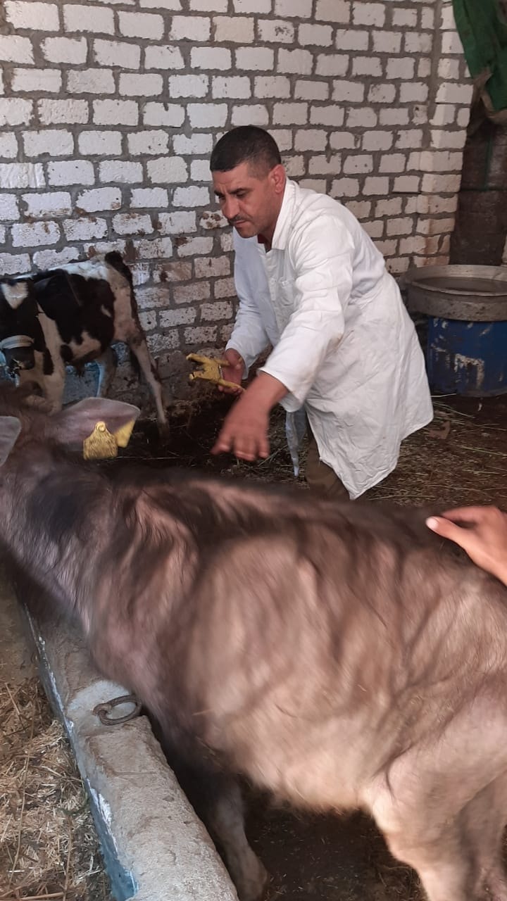 01b2d7704822ff2794d243bb3ebf3222.jpg