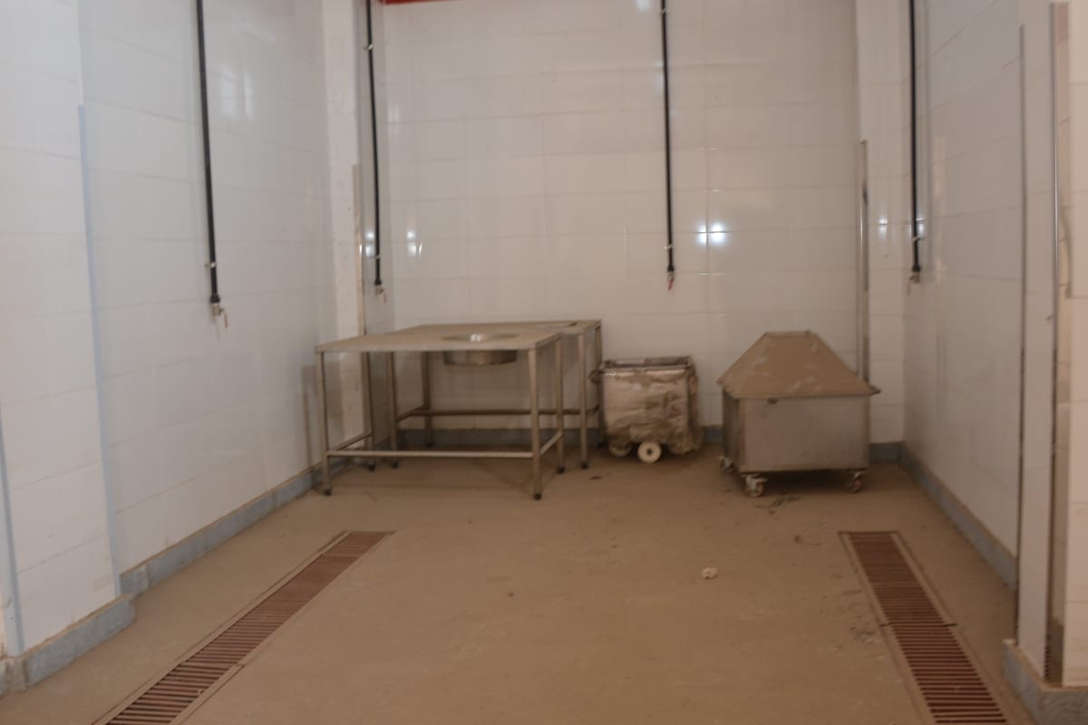 c6d7102742ca.jpg