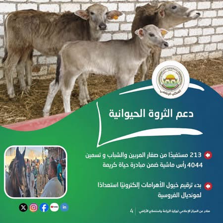 c38ebe89e9f5.jpeg