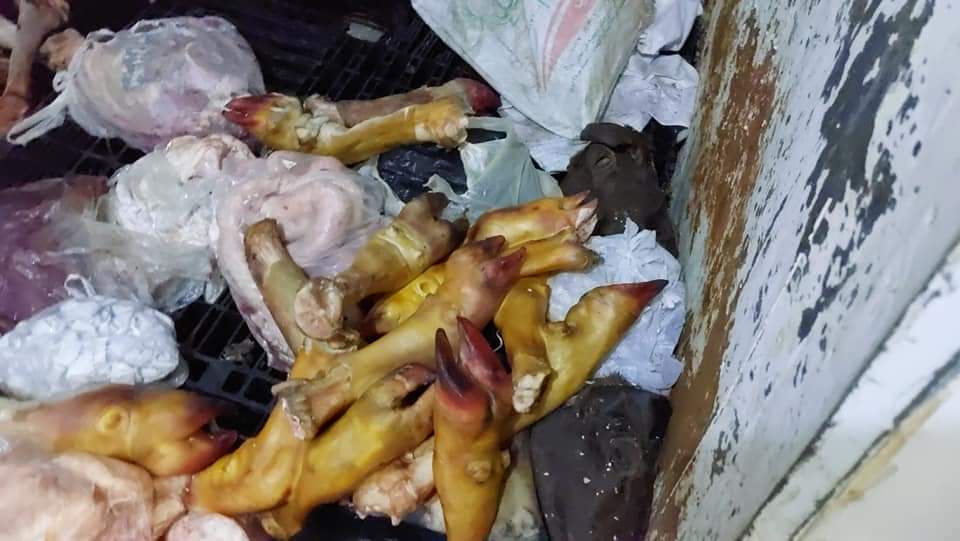 c22f93fe5252fed6d2d3dfc9044bfe25.jpeg
