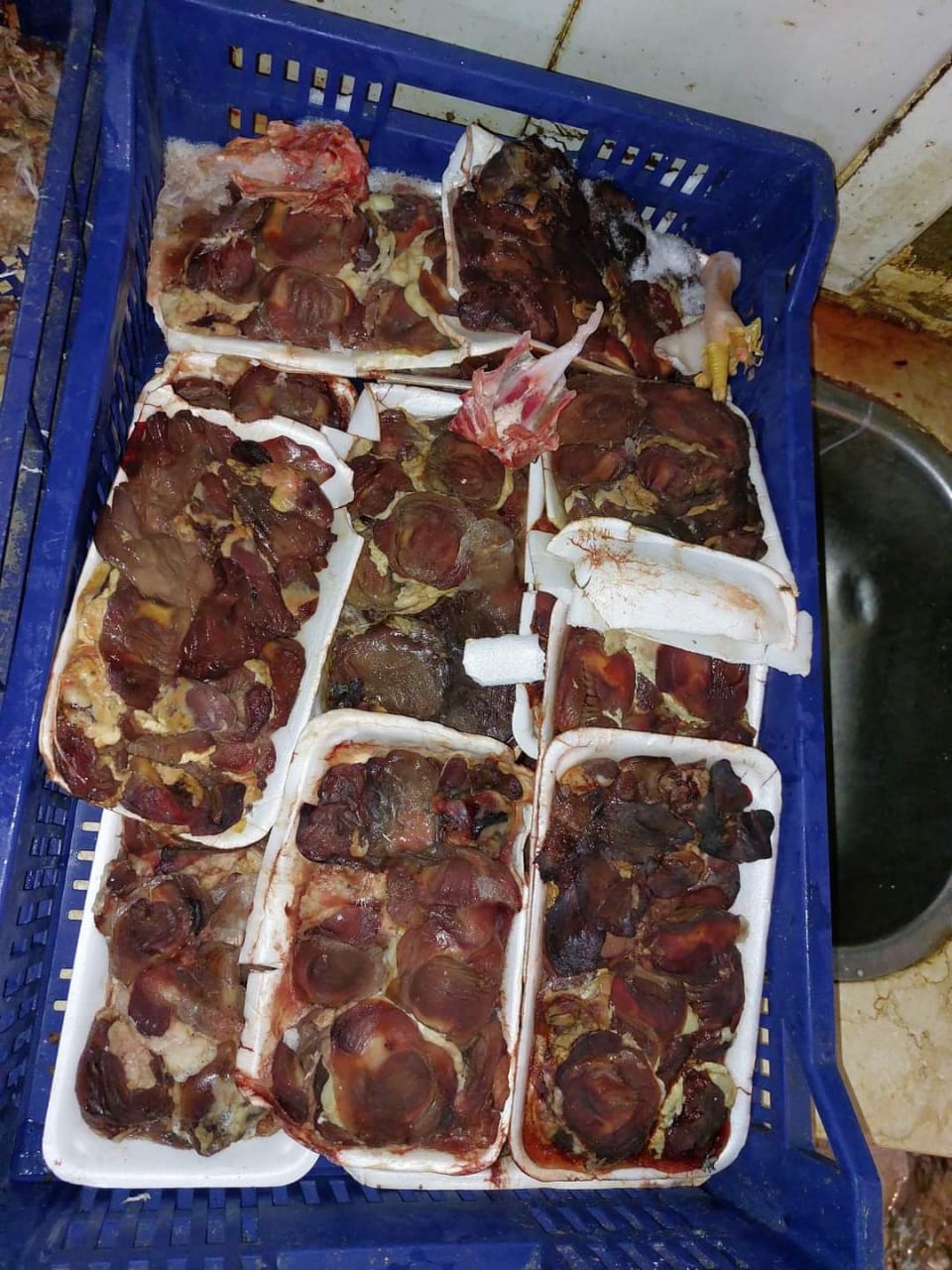 f6576adabd83d114649a0016bab14994.jpeg