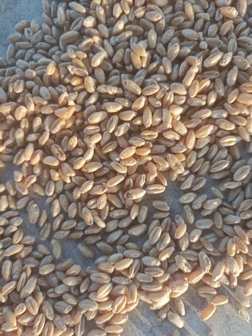1fbd543cbd48.jpg