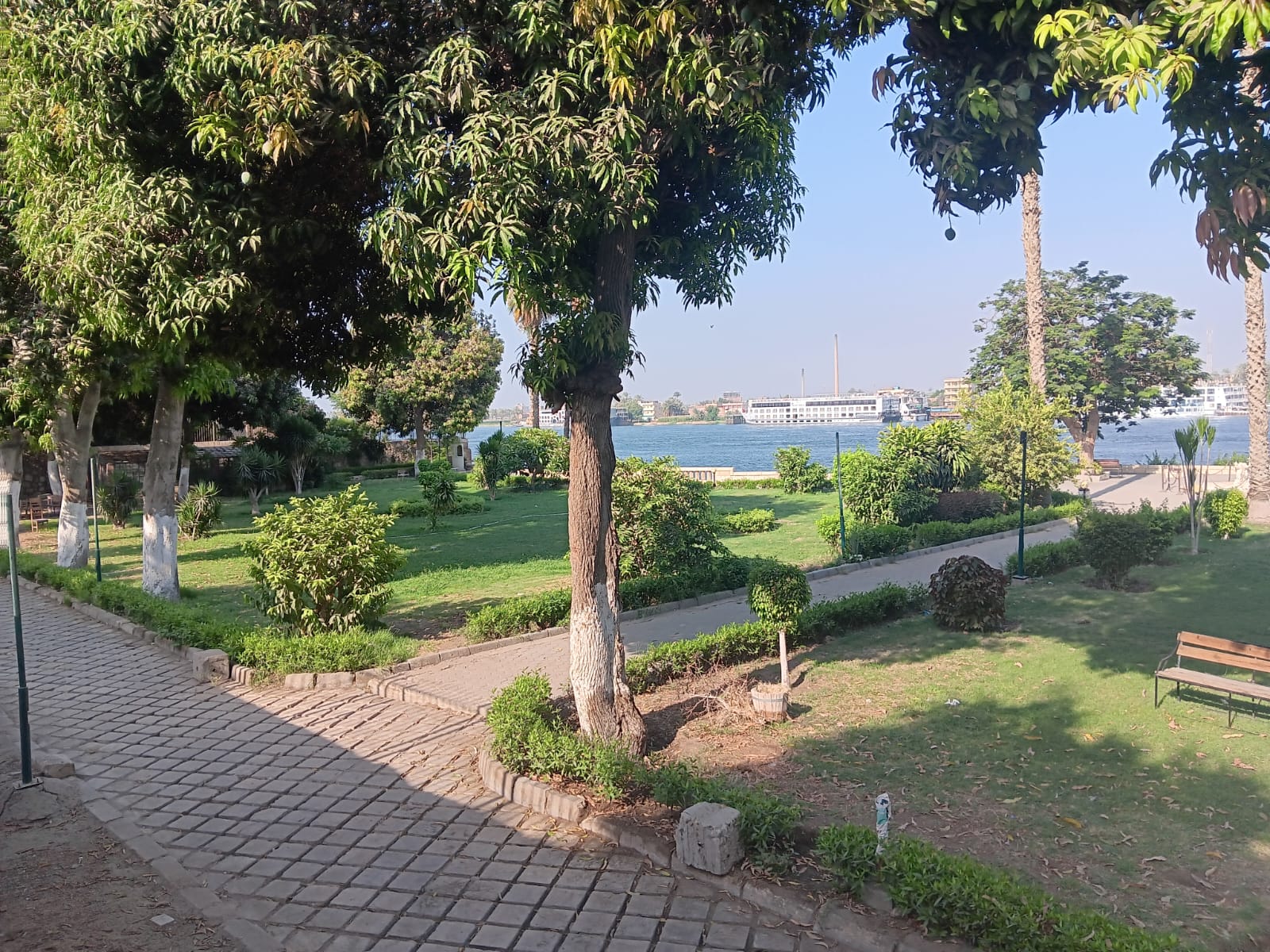 54f2d6d1e329.jpg